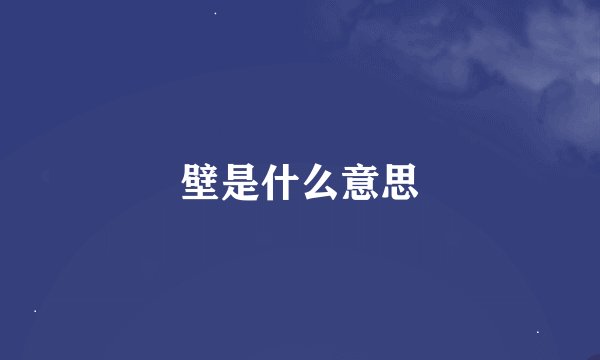 壁是什么意思