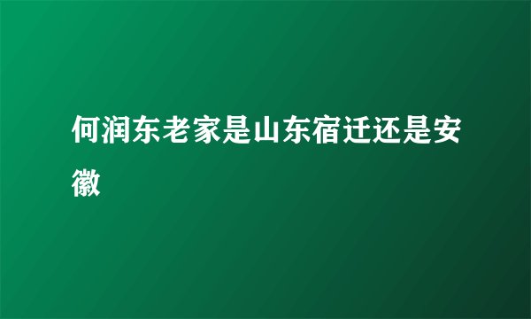 何润东老家是山东宿迁还是安徽