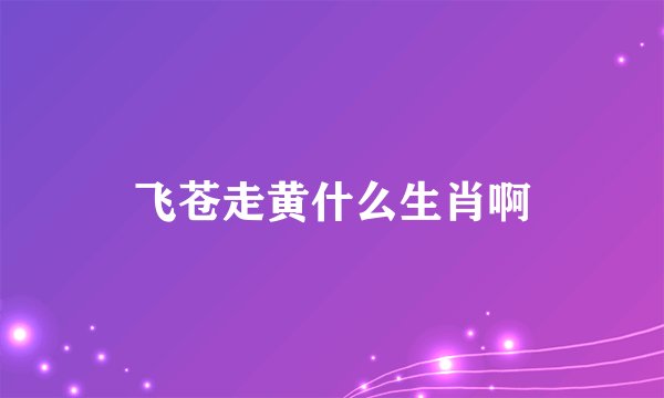 飞苍走黄什么生肖啊