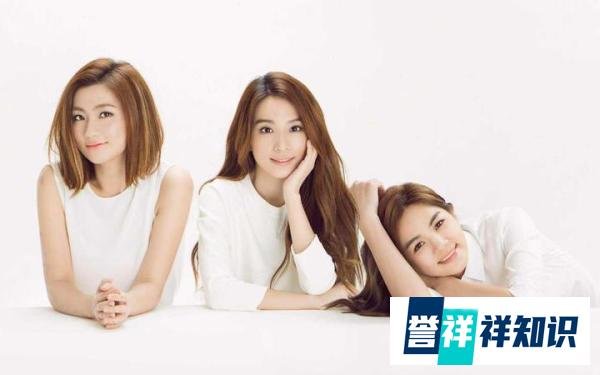你不认识SHE我不认识101-关于华语音乐和偶像养成综艺的对比分析