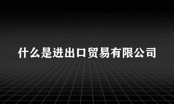什么是进出口贸易有限公司