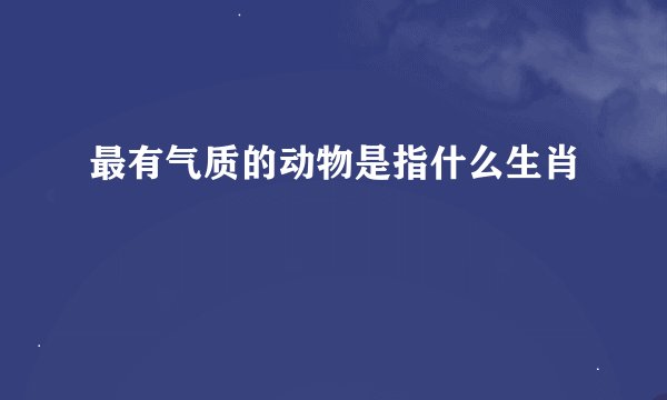 最有气质的动物是指什么生肖