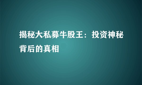 揭秘大私募牛股王：投资神秘背后的真相