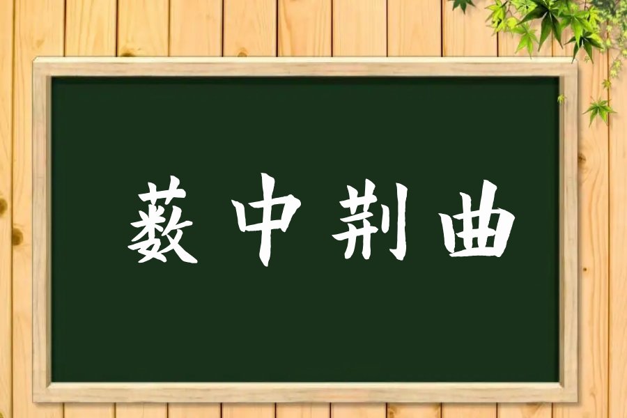 薮中荆曲什么意思