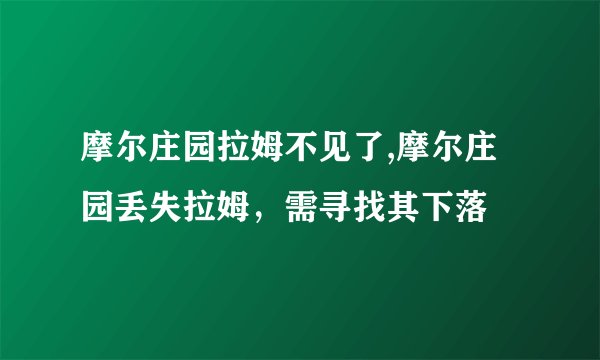 摩尔庄园拉姆不见了,摩尔庄园丢失拉姆，需寻找其下落