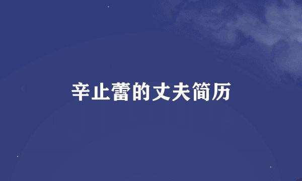 辛止蕾的丈夫简历
