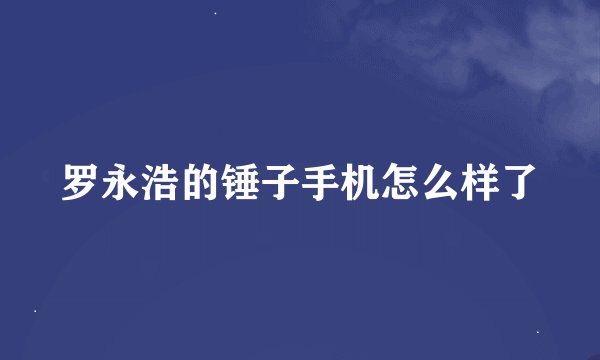 罗永浩的锤子手机怎么样了