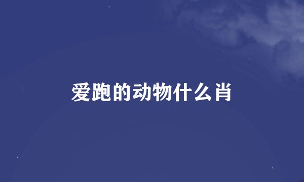 爱跑的动物什么肖