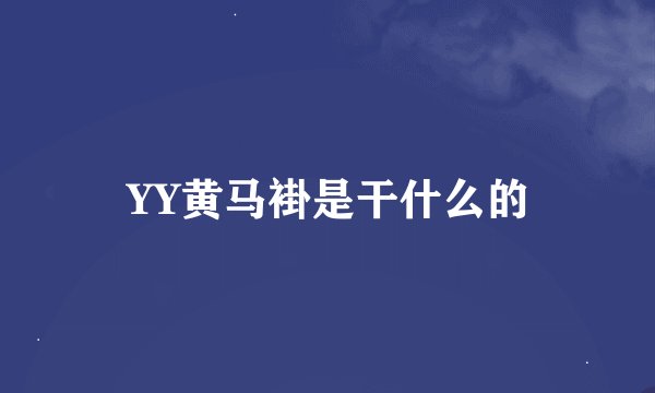 YY黄马褂是干什么的