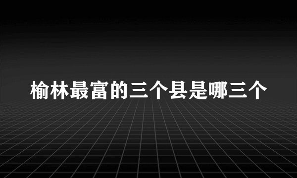 榆林最富的三个县是哪三个