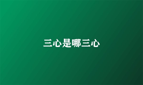 三心是哪三心