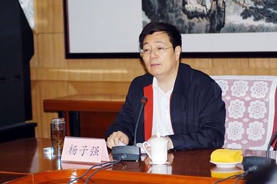 杨子强的介绍