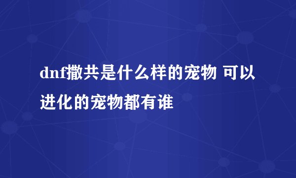 dnf撒共是什么样的宠物 可以进化的宠物都有谁