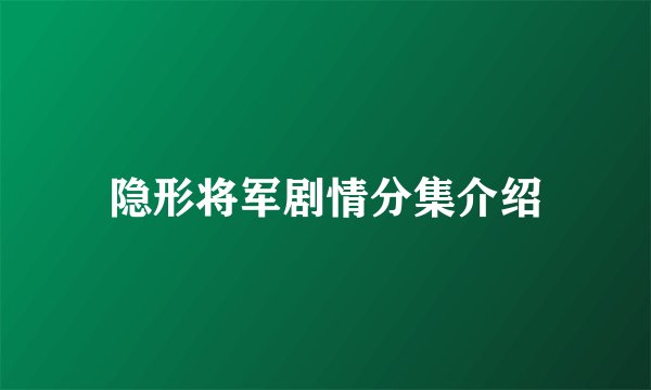 隐形将军剧情分集介绍