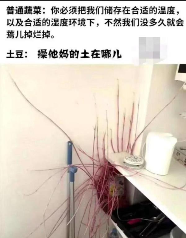 《亘古世界/子苏奇缘》奇人甲系列二