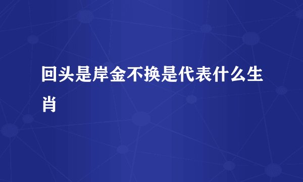 回头是岸金不换是代表什么生肖