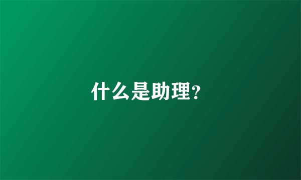 什么是助理?