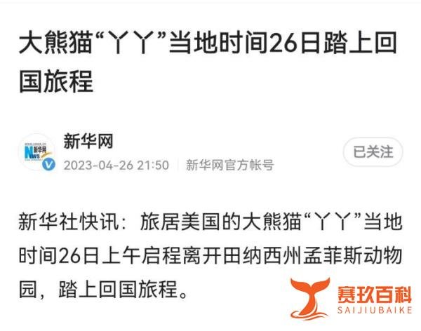 大熊猫丫丫今天启程回国，二十年旅美经历了什么？