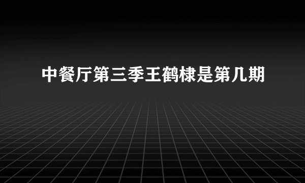 中餐厅第三季王鹤棣是第几期