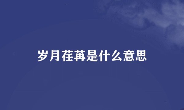 岁月荏苒是什么意思