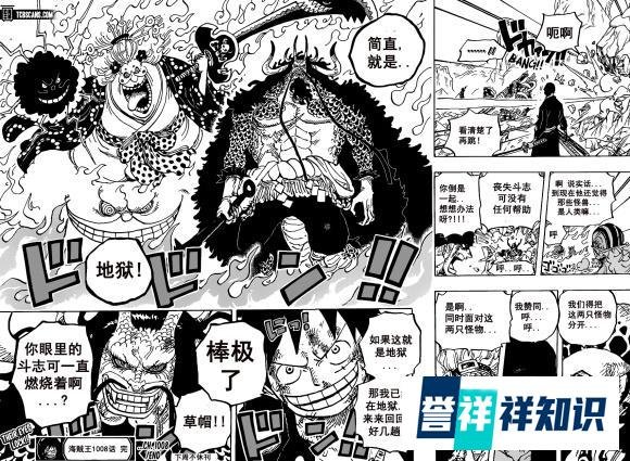 海贼王1008话汉化，凯多人兽形被丑哭，罗开始分兵解决两大四皇