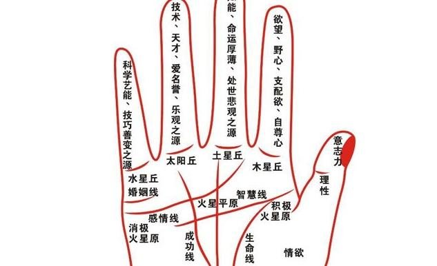 看手相到底准确吗？
