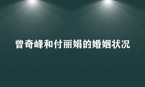 曾奇峰和付丽娟的婚姻状况