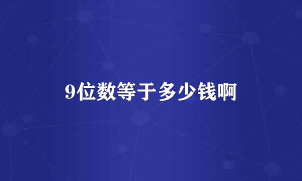 9位数等于多少钱啊