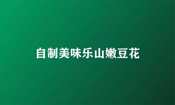 自制美味乐山嫩豆花