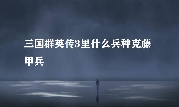 三国群英传3里什么兵种克藤甲兵