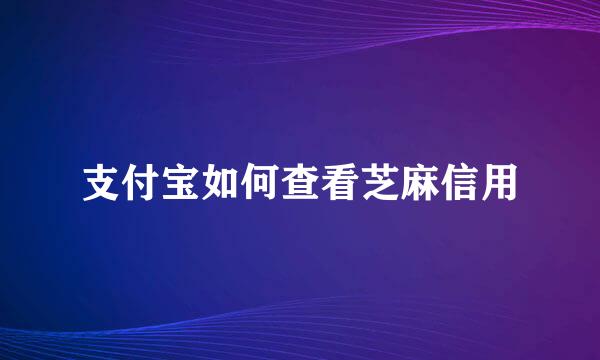 支付宝如何查看芝麻信用