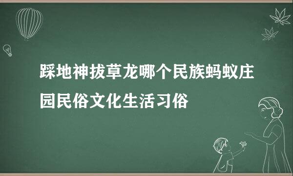 踩地神拔草龙哪个民族蚂蚁庄园民俗文化生活习俗