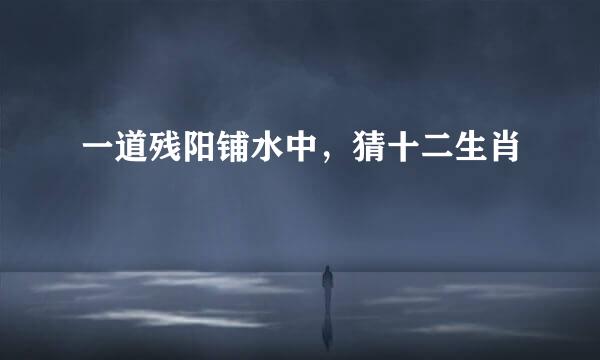 一道残阳铺水中，猜十二生肖
