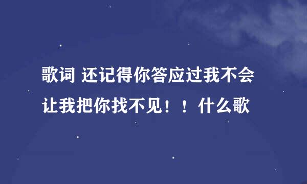 歌词 还记得你答应过我不会让我把你找不见！！什么歌
