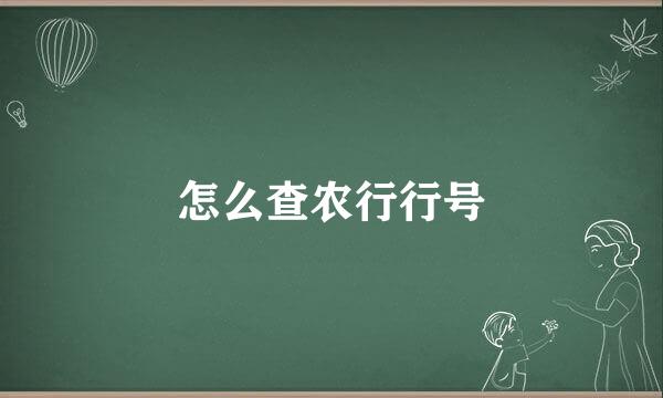 怎么查农行行号