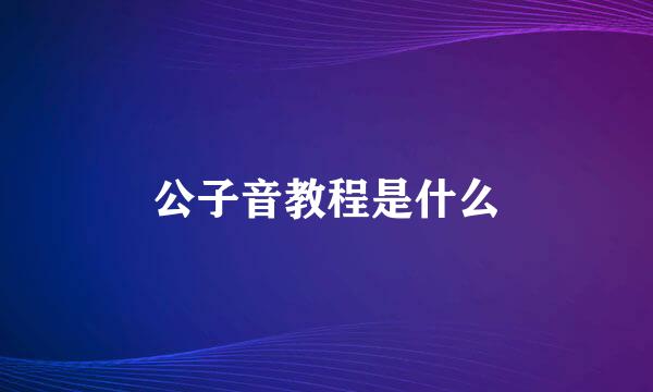 公子音教程是什么