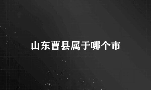 山东曹县属于哪个市