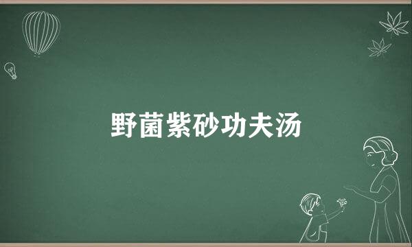野菌紫砂功夫汤