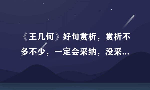 《王几何》好句赏析，赏析不多不少，一定会采纳，没采纳的会感谢，求你们了，快！快！快！！！！！
