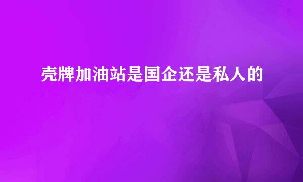 壳牌加油站是国企还是私人的