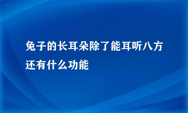 兔子的长耳朵除了能耳听八方还有什么功能