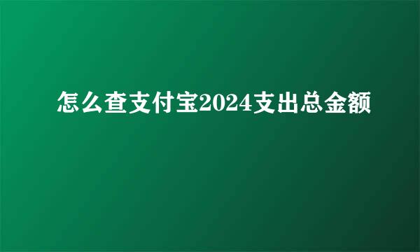 怎么查支付宝2024支出总金额