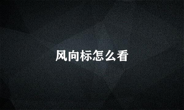风向标怎么看
