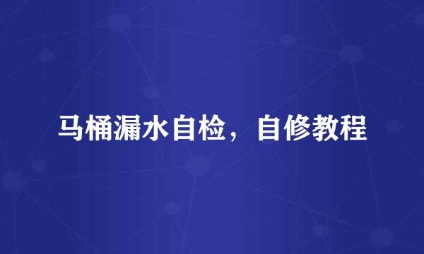 马桶漏水自检，自修教程