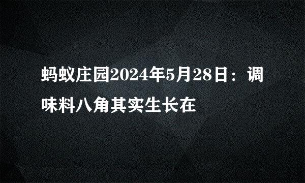 蚂蚁庄园2024年5月28日：调味料八角其实生长在