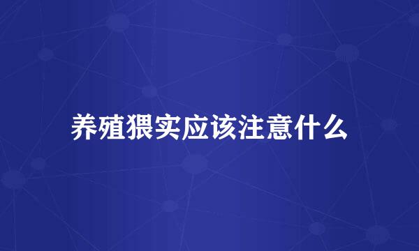 养殖猥实应该注意什么