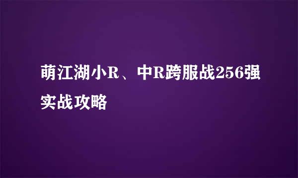 萌江湖小R、中R跨服战256强实战攻略