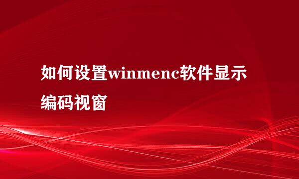 如何设置winmenc软件显示编码视窗