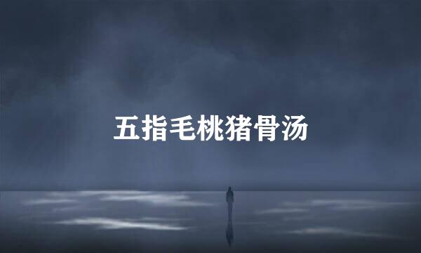 五指毛桃猪骨汤