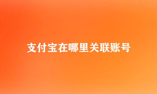 支付宝在哪里关联账号